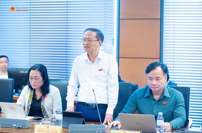 ĐBQH Đinh Ngọc Minh (Cà Mau) phát biểu. Ảnh: Xuân Quý