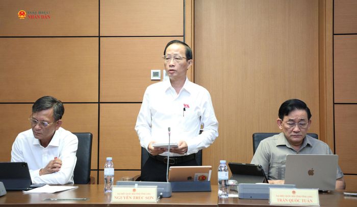 ĐBQH Nguyễn Trúc Sơn (Vĩnh Long) phát biểu