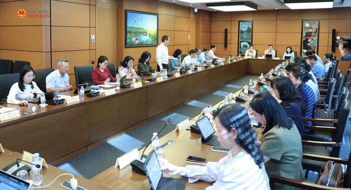Toàn cảnh phiên thảo luận Tổ 10