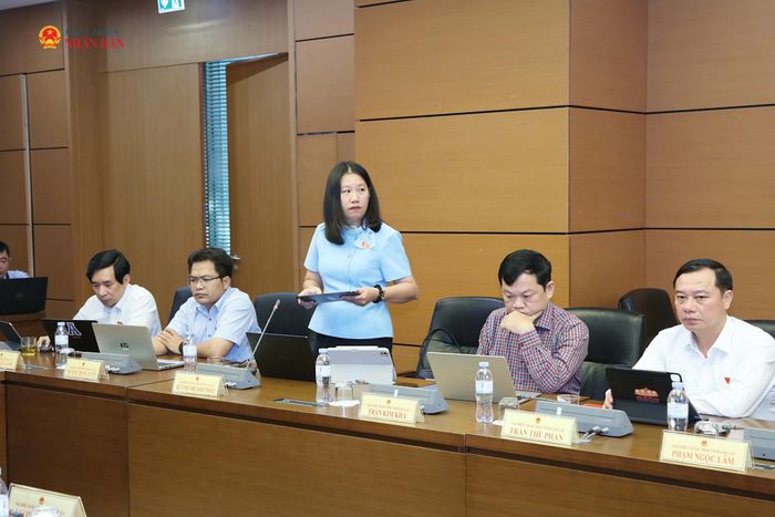 ĐBQH Huỳnh Thị Anh Thảo (Gia Lai) phát biểu thảo luận tổ. Ảnh: An Nhiên