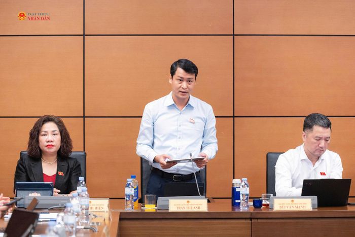 ĐBQH Trần Thế Anh (Ninh Bình) phát biểu. Ảnh: Trọng Hiếu