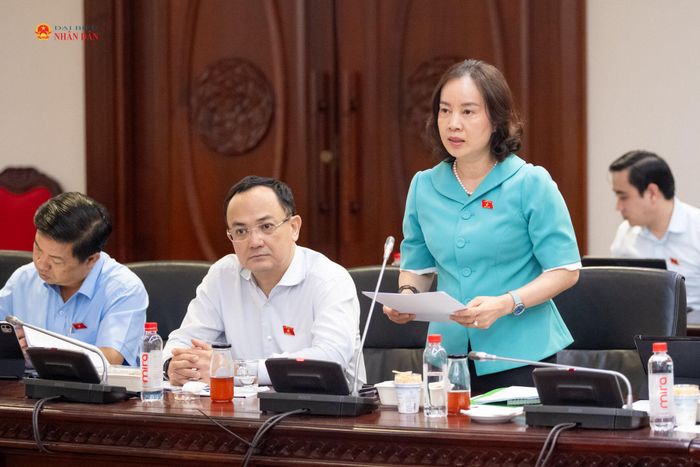ĐBQH hoạt động chuyên trách tại Ủy ban Khoa học, Công nghệ và Môi trường Nguyễn Thị Kim Anh trình bày một số nội dung thẩm tra dự án Luật an toàn thực phẩm (sửa đổi)