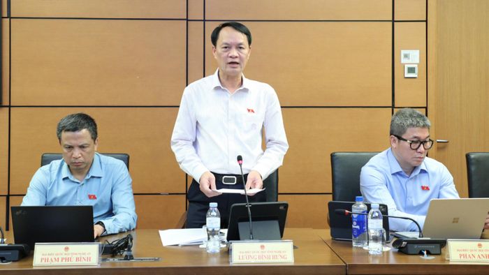 ĐBQH Lương Đình Hưng (Nghệ An) phát biểu