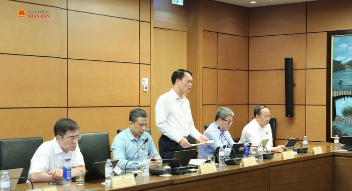 ĐBQH Lương Đình Hưng (Nghệ An) phát biểu.