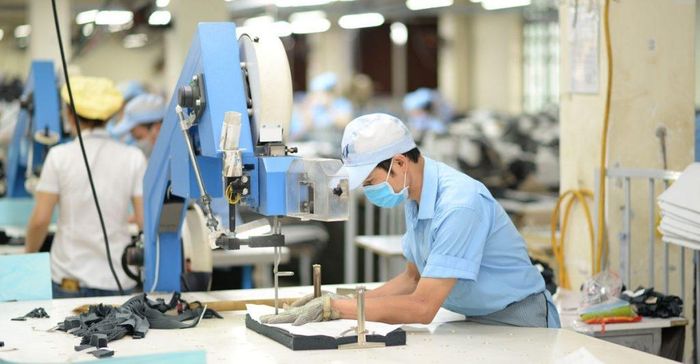 Các kiến nghị thuế hướng tới hỗ trợ doanh nghiệp trong nước và xuất khẩu. Ảnh: MH