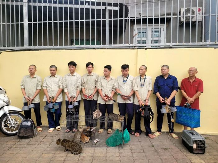  Công an xã Đông Thạnh triệt phá nhóm đối tượng có hành vi chuyên trộm mèo với số lượng lớn để bán, thu lợi bất chính. 