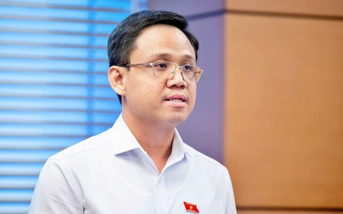 Đại biểu Quốc hội Nguyễn Thế Duy, Phó Chủ tịch HĐQT kiêm Phó Tổng Giám đốc Tập đoàn Becamex.