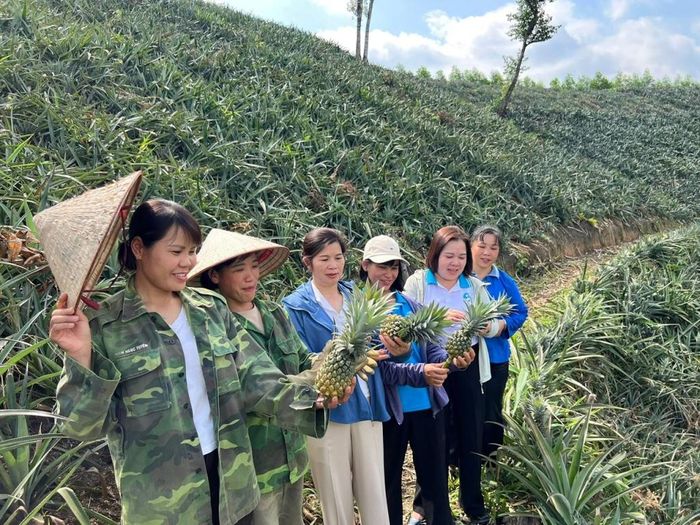 Qua các thời kỳ, chị em phụ nữ đóng góp trí tuệ, công sức trên các lĩnh vực, góp sức xây dựng quê hương. Ảnh Phụ nữ Cao Bằng