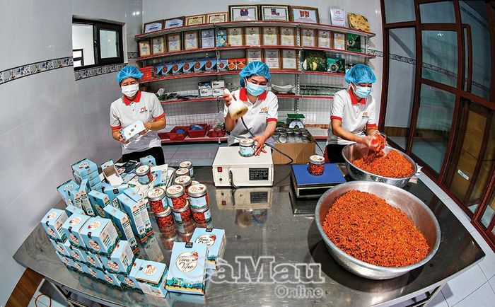 Sản xuất tôm khô tại Công ty TNHH MTV Sản xuất và Thương mại Thuỷ hải sản Ngọc Giàu, ấp Tân Thành, xã Tân Tiến. Ảnh: LÂM ĐỜI