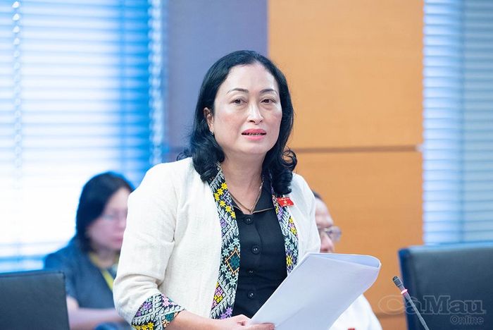 Đại biểu Trần Thị Hoa Ry, Phó Chủ tịch Hội đồng Dân tộc của Quốc hội đề nghị hoàn thiện quy định chuyển tiếp, bảo đảm nguồn lực phát triển văn hoá, thư viện, điện ảnh tại vùng đồng bào dân tộc thiểu số, miền núi, biên giới, hải đảo và duy trì chất lượng các chương trình phát thanh, truyền hình bằng tiếng dân tộc thiểu số.