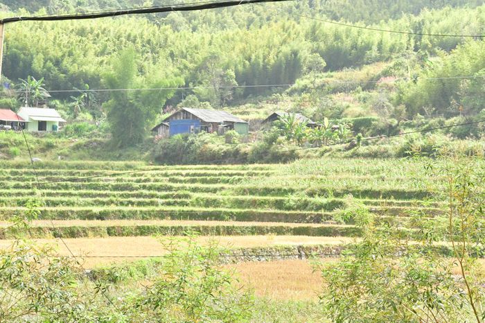 Đất đai được đồng bào dân tộc khai phá, canh tác và sử dụng qua nhiều thế hệ nối tiếp nhau. Ảnh: N.LY