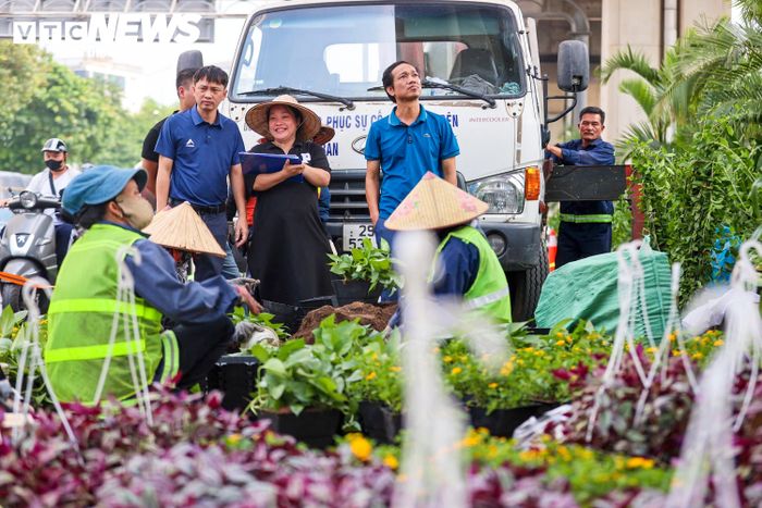 Hà Nội trồng cây xanh tạo bóng mát, trang trí cảnh quan vỉa hè.