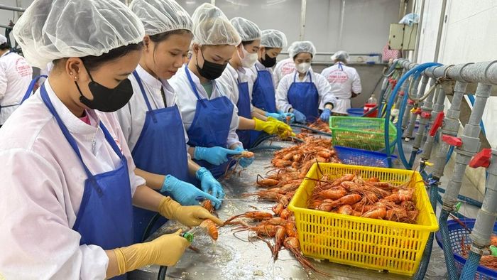 Cà Mau xác định động lực tăng trưởng những tháng cuối năm nay chủ yếu vẫn là lĩnh vực thủy sản. (Ảnh: Duy Trần)