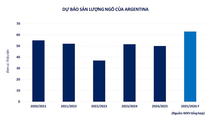 Dự báo sản lượng ngô của Argentina. Nguồn: MXV