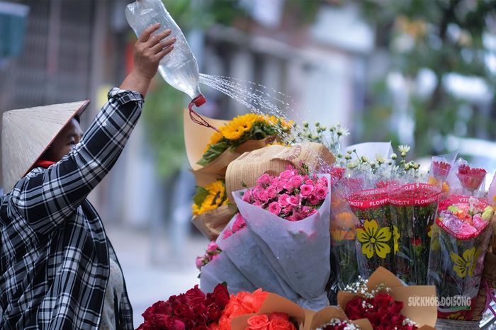 Chăm chút những bó hoa. Ảnh: Tuấn Anh