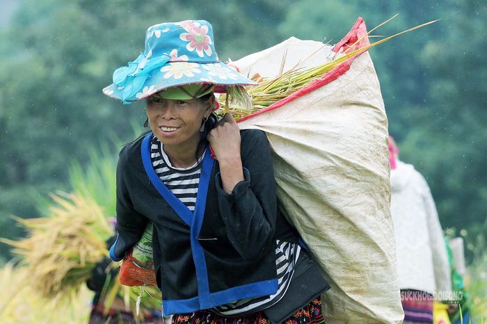 Nụ cười bên bao lúa nặng trên vai. Ảnh: Tuấn Anh