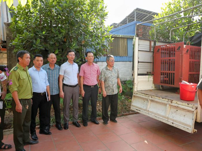 Cơ quan chức năng tiếp nhận cá thể gấu ngựa do người dân tự nguyện bàn giao. Ảnh: UBND phường Nam Triệu.
