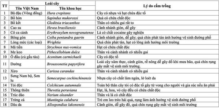 Ảnh chụp màn hình.