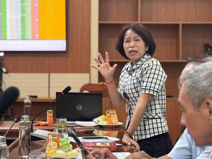 Bà Phạm Thị Vân Anh phát biểu tại hội thảo lấy ý kiến nhân chứng về mộ liệt sĩ ở sân Đảng uỷ xã Hiệp Đức sáng 19/10. Ảnh: Bích Vân