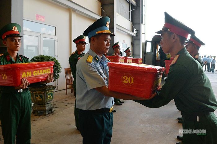 Từng thùng mẫu được vận chuyển trang trọng. Ảnh: Tuấn Anh