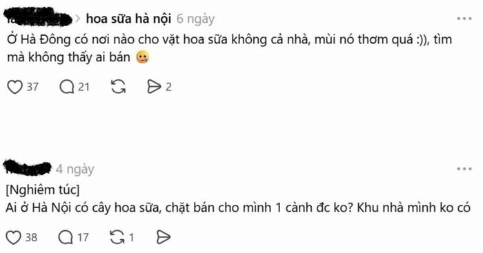 Loạt bài viết về tìm hoa sữa xuất hiện trên mạng xã hội (Ảnh: IT)