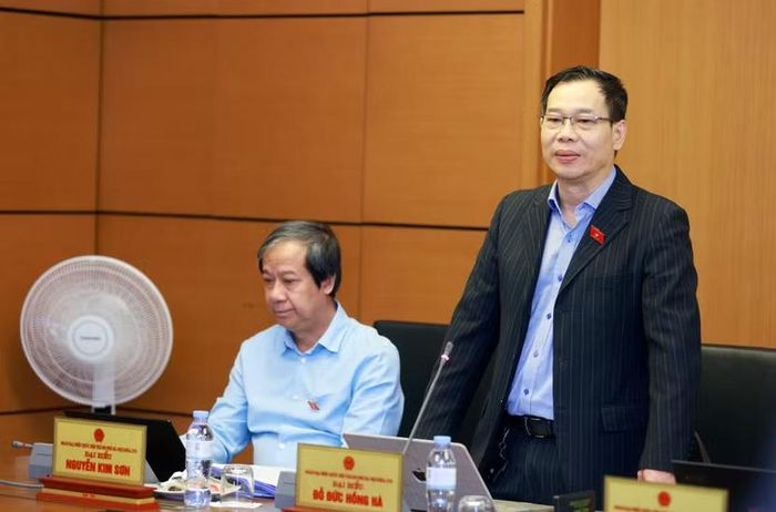 ĐBQH Đỗ Đức Hồng Hà phát biểu thảo luận tổ