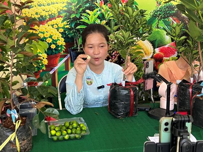 Người dân đưa sản phẩm cây giống, cây ăn trái đặc sản của xã Chợ Lách lên sàn thương mại điện tử