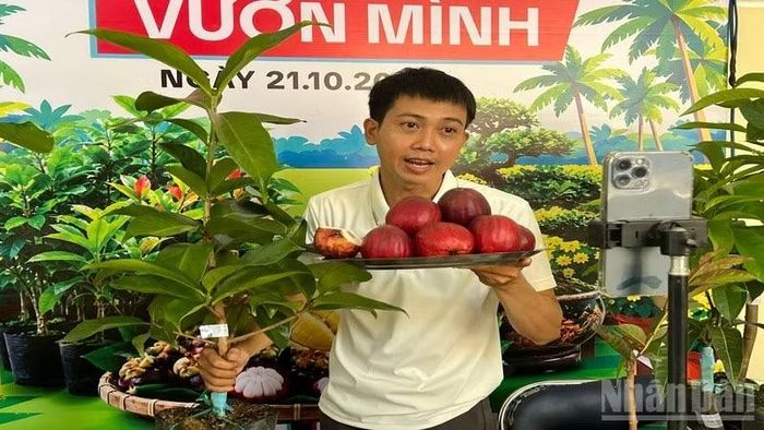 Người dân đưa sản phẩm cây giống, cây ăn quả đặc sản lên sàn thương mại điện tử. (Ảnh: HOÀNG TRUNG)