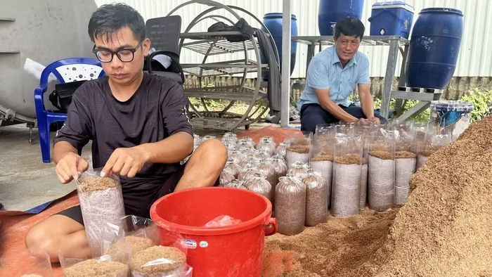 Cho mùn cưa vào bịch ni-lông làm giá thể trồng nấm. (Ảnh: CTV)