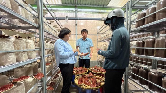 Đại diện Hội Nông dân xã Bình Chánh đến tìm hiểu Trại nấm hữu cơ của anh Trần Thanh Ngàn. (Ảnh: CTV)