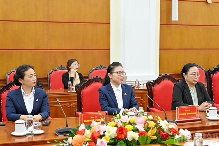 Các đại biểu tháp tùng Bí thư Trung ương Đoàn Thanh niên Nhân dân Cách mạng Lào Thongly Sisoulith dự cuộc tiếp.
