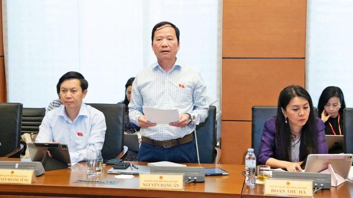 Đại biểu Nguyễn Đặng Ân (Đoàn Lạng Sơn). (Ảnh: LH)