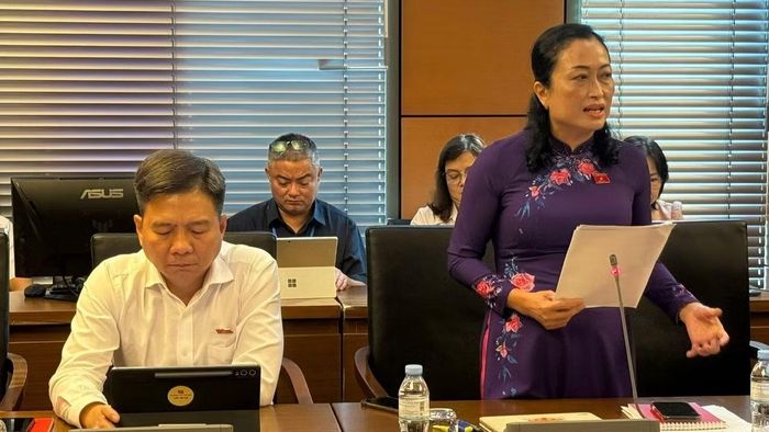 Đại biểu Trần Thị Hoa Ry (Đoàn Cà Mau). (Ảnh: TL)