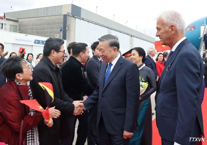 Cán bộ, nhân viên Đại sứ quán và cộng đồng người Việt Nam đón Tổng Bí thư, Chủ tịch nước Tô Lâm và Phu nhân Ngô Phương Ly tại sân bay quân sự Melsbroek, Brussels. (Ảnh: Thống Nhất/TTXVN)