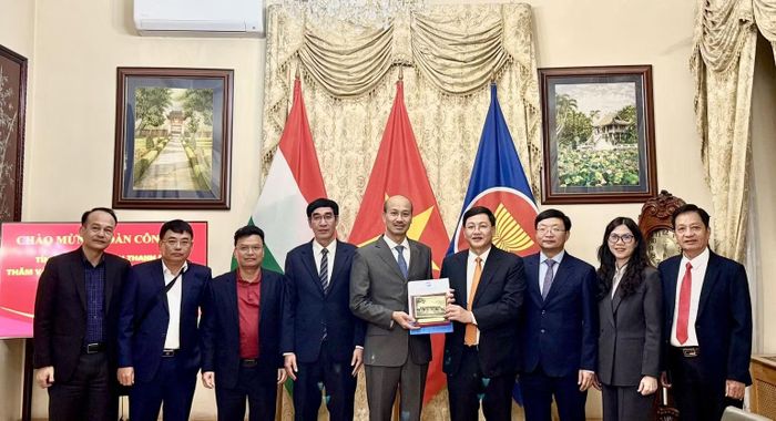 Đoàn công tác tỉnh Thanh Hóa làm việc với Đại sứ quán. (Ảnh: Đại sứ quán Việt Nam tại Hungary cung cấp)