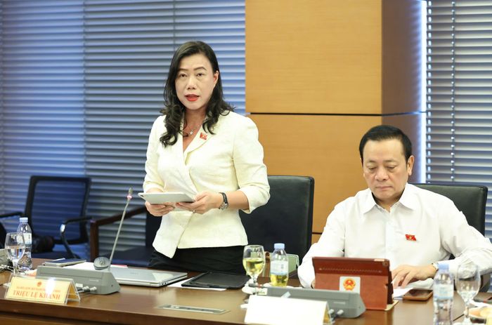  ĐB Triệu Lệ Khánh (TPHCM). Ảnh: QUANG PHÚC 