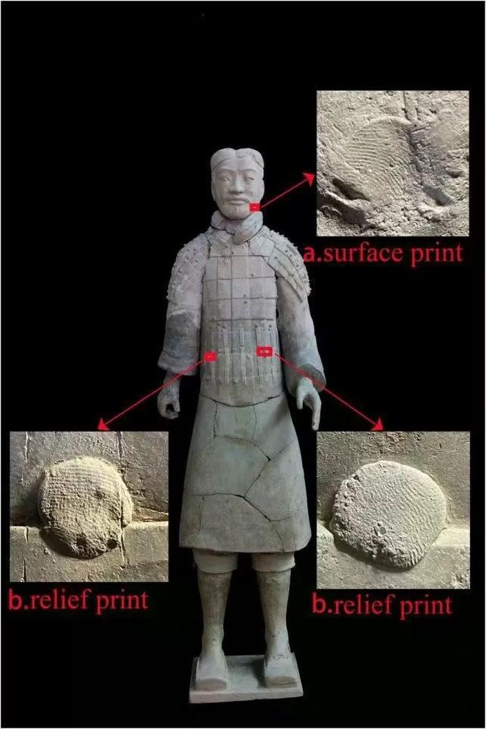 Dấu vân tay còn lưu lại trên một chiến binh đất nung. Hình phía trên cho thấy dấu in trên bề mặt đầu tượng; các hình phía dưới là dấu in trên những chi tiết áo giáp đắp nổi. Ảnh: Li và cộng sự, Journal of Cultural Heritage, 2026.