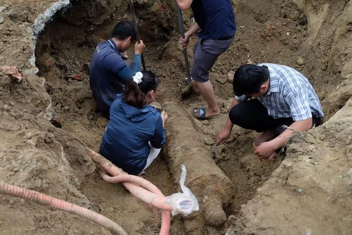 Đơn vị kiểm tra đánh giá hiện vật.