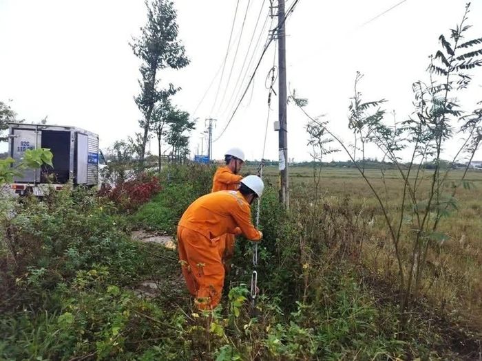 Nhân viên Điện lực gia cố néo và kiểm tra hệ thống móng cột trước mùa mưa bão. (Nguồn: Điện lực Đà Nẵng)
