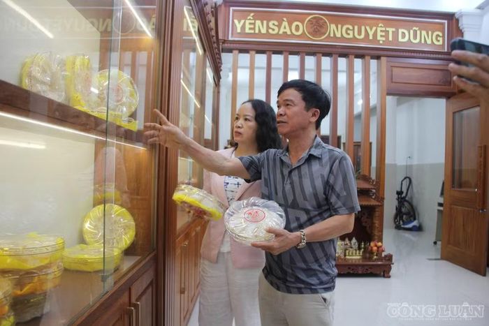 Từ 90m² tầng nhà tận dụng ban đầu, đến nay gia đình ông đã nâng tổng diện tích lên khoảng 1.200m², duy trì sản lượng hơn 300kg tổ yến mỗi năm