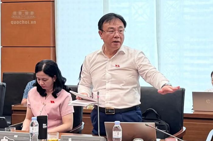 Đại biểu Quốc hội Nguyễn Công Long phát biểu (ảnh QH).