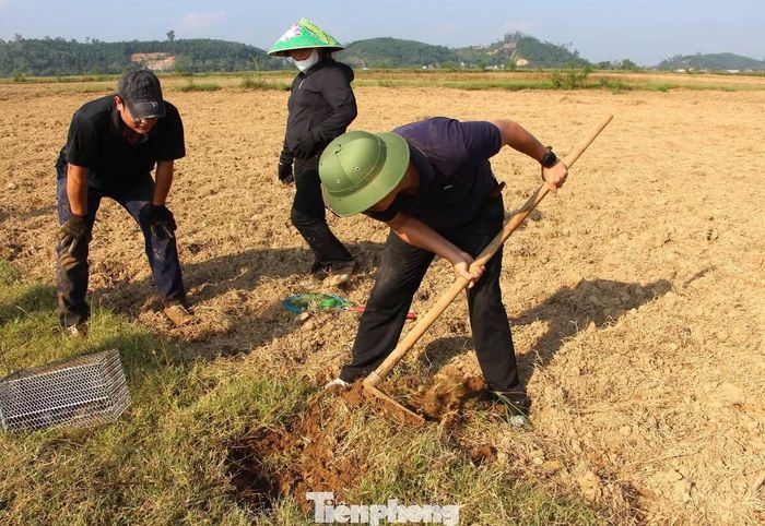 Để bảo vệ vụ Đông, xã Xuân Lâm ban hành kế hoạch và phát động phong trào diệt chuột. Theo đó, kế hoạch được xã ban hành xuống tận từng xóm để hướng dẫn nhân dân chủ động cày lật đất sớm, phát quang bờ bụi, thu dọn rơm rạ, cỏ dại sau thu hoạch nhằm phá vỡ nơi trú ẩn, sinh sản của chuột.