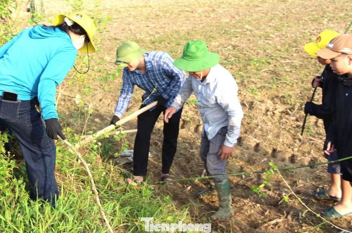 Có mặt trên cánh đồng, người mang cuốc đào hang, người đặt bẫy, người chuẩn bị dụng cụ hun khói để tìm cách bắt, diệt chuột.