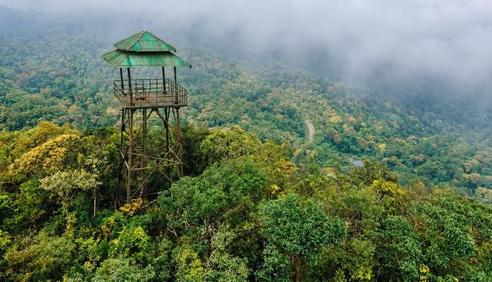 Điều thú vị ở U Bò là khoảng cách giữa cái nóng đồng bằng và hơi mát vùng cao dường như được rút ngắn. Đồng Hới nắng trong, nhưng lên núi đã gặp mưa, nhiệt độ chỉ khoảng 23-24 độ C. Một lát cắt thời tiết, đủ gợi sự khác biệt giữa hai không gian tưởng như rất gần nhau.