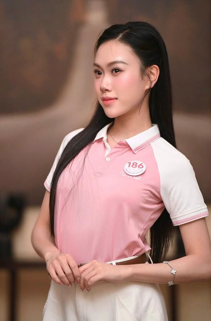 Diệu Anh từng đạt danh hiệu Á khôi, Hoa khôi Nhân ái và Hoa khôi Tài năng tại Duyên dáng Ngoại thương 2023. Cô cũng vinh dự đại diện sinh viên nhà trường tiếp đón Thủ tướng New Zealand trong chuyến thăm Việt Nam.