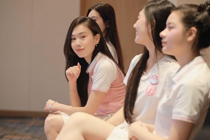 Diệu Anh cũng từng là thành viên Ban Đối ngoại của AIESEC tại Việt Nam, một tổ chức thanh niên quốc tế và đồng hành cùng nhiều chương trình dành cho sinh viên trong vai trò đại sứ truyền thông.