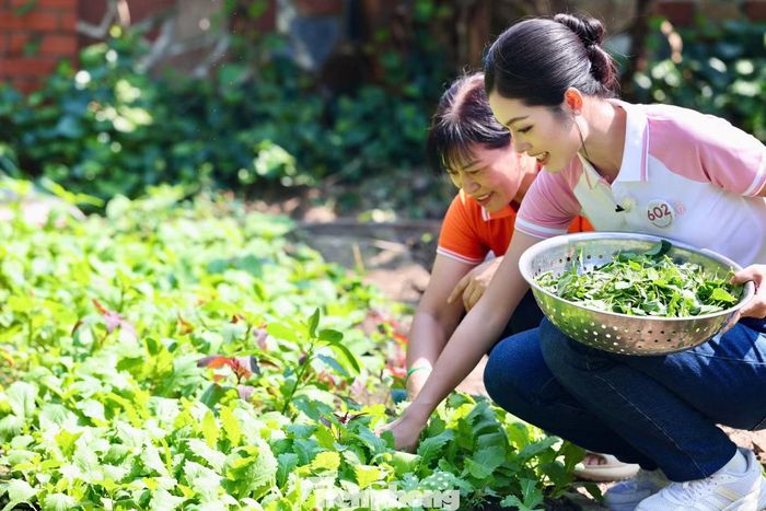 Uyên Nhi hái rau, nấu cơm cho các bạn nhỏ tại Làng trẻ em SOS Hải Phòng.