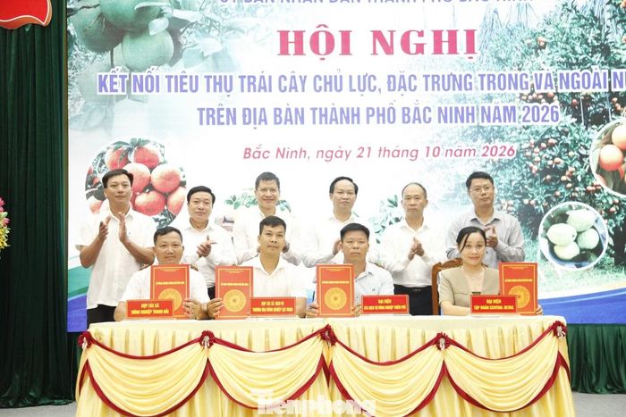 Ký kết biên bản ghi nhớ, thỏa thuận hợp tác tiêu thụ các nông sản chủ lực, đặc trưng của thành phố Bắc Ninh.