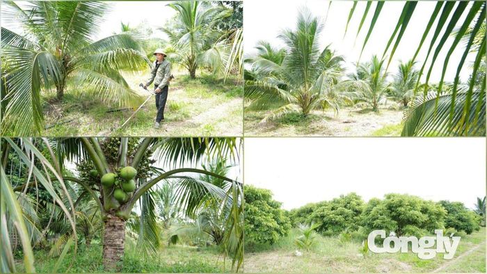 Suốt thời gian dài vừa qua, để chứng minh quyết tâm làm lại cuộc đời, anh Dương lao vào công việc với một sự kiên trì đáng khâm phục.