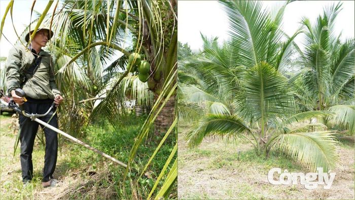 Nhìn lại quá khứ, phán quyết của Tòa án chính là bước ngoặt nhân văn giúp anh Dương kịp thời dừng lại trước vòng xoáy đỏ đen.